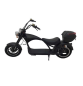 Preview: Chopper X9 Plus, , Lithium-Akku