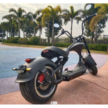 Chopper X9 Plus, , Lithium-Akku