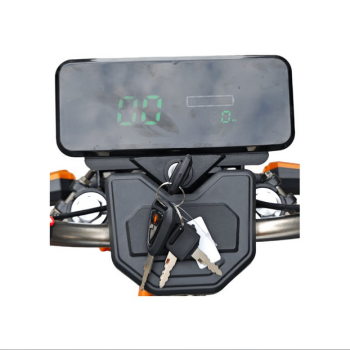 Elektro-Lastendreirad "Cargo Cruiser Dach Li" 25/45 km/h, 60V/60 Ah Lithium-Akku