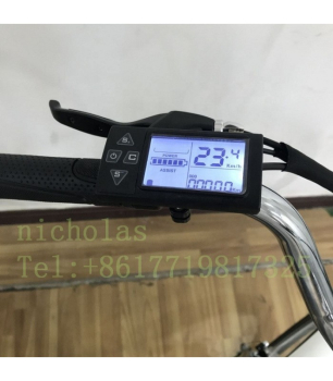 Preview: E-Lastenrad E-DONKEY PLUS, E-Bike Lastenfahrrad