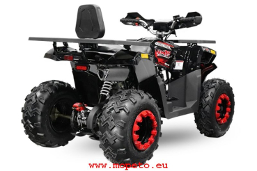 180cc RS10 CVT V2 maxi Quad 10 Zoll Automatik + RG Platin Line