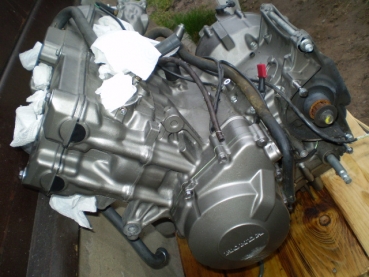Hornet PC36 Motor + Getriebe