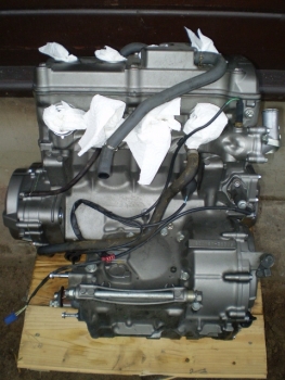1130 Hornet PC36 Motor + Getriebe