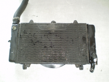 Honda CBR 1000 F SC21 Wasserkühler