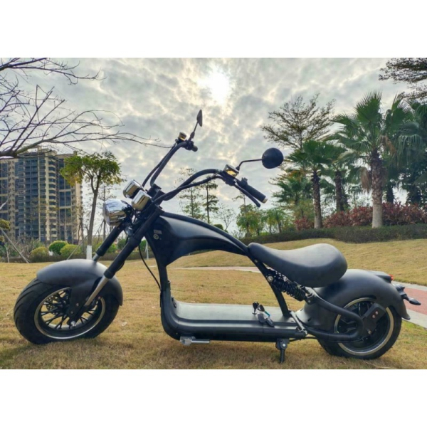 Chopper X9 Plus, , Lithium-Akku