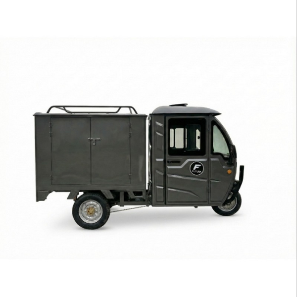 E-Lastendreirad Cargo-Cabin Box