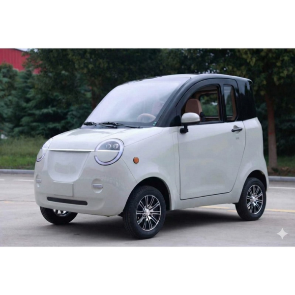 2 Sitzer Dora Li, 45 km/h, bis zu 140 km Reichweite, Lithium-Akku