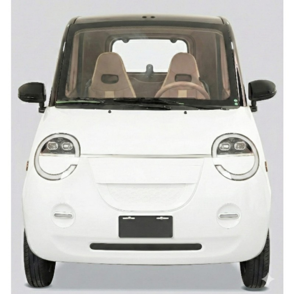 2 Sitzer Dora Li, 45 km/h, bis zu 140 km Reichweite, Lithium-Akku