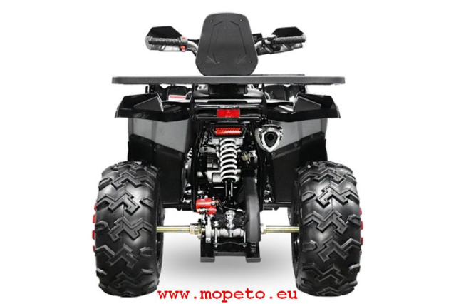 180cc RS10 CVT V2 maxi Quad 10 Zoll Automatik + RG Platin Line