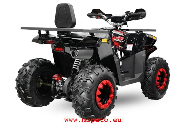 180cc RS10 CVT V2 maxi Quad 10 Zoll Automatik + RG Platin Line
