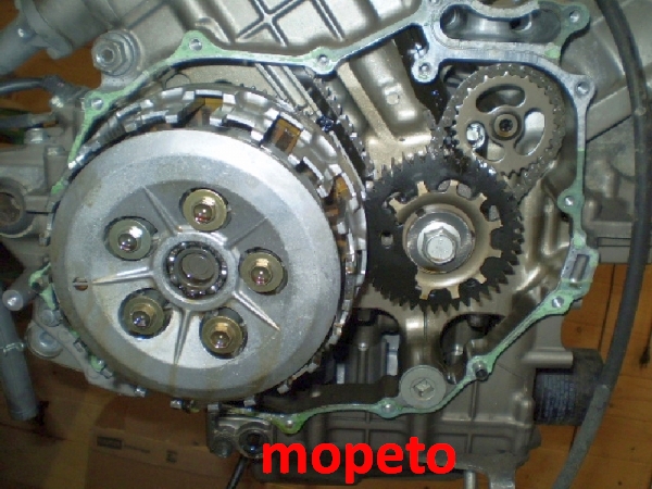 Honda VTR1000F SC36 Motor Getriebe Lichtmaschine