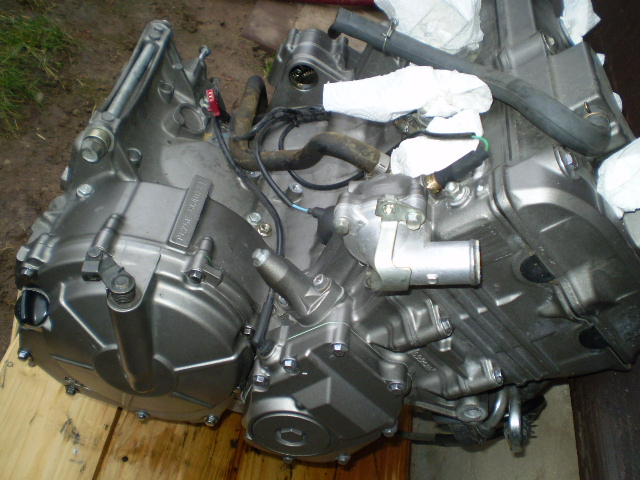 Hornet PC36 Motor + Getriebe